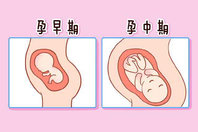 南京试管婴儿捐卵供卵，南京正规供卵代怀生子医院排名，附供卵试管医院推荐