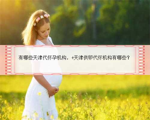 有哪些天津代怀孕机构， 天津供卵代怀机构有哪些？
