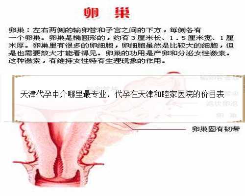 天津代孕中介哪里最专业，代孕在天津和睦家医院的价目表